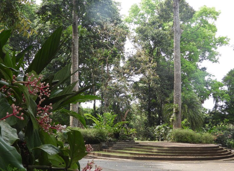 Makiling Botanic Gardens, Los Baños, Philippines, Philippines